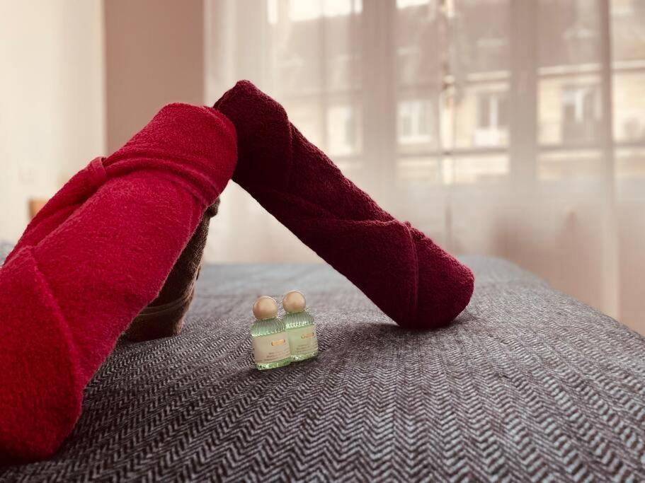 L'Appartement Lafayette Rive Gauche รูออง ภายนอก รูปภาพ